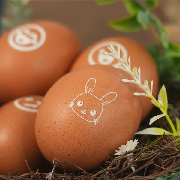Eggs